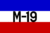 Co}m19v_tiny
